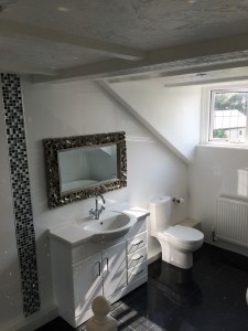 New sink and toilet